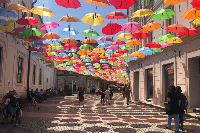 Weekly Guided Tour in English - Tuesday, Thursday, Saturday - Why this Timisoara walk works well