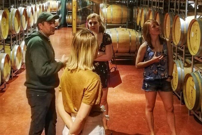 Wine Tasting Private Tour & The Royal Palace in Sinaia from Bucharest - The Rotenberg Alternative