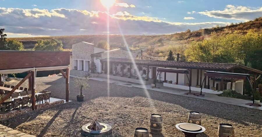 Winery touring & private wine tasting - one day private tour - Leaving Bucharest for the Dealu Mare hills