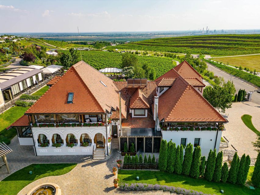 Winery touring & private wine tasting - one day private tour - Lunch at a manor above the vineyards