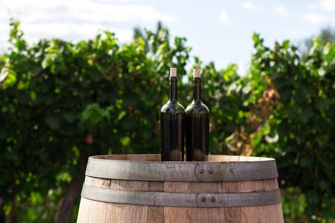 Wines of Wallachia – 8 hours - The first cellar in Prahova County