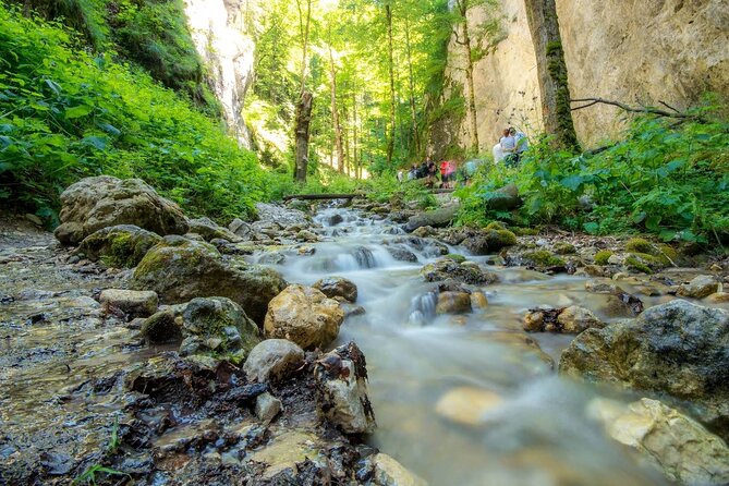Zipline, Hiking and Canyon Crossing Expedition - The ride from Bucharest to the Carpathians